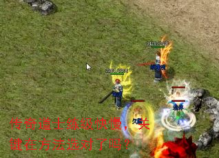 �����ʿ�����������ؼ��ڷ���ѡ������