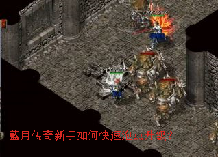 ���´���������ο����ݵ�������