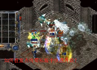 ����ڸ��Ŵ���˽���п���������