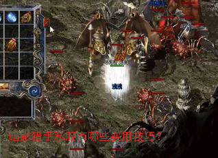 ��Ӱ����˽������Щʵ�ü��ɣ�