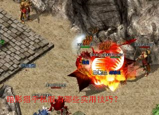 ��Ӱ����˽������Щʵ�ü��ɣ�