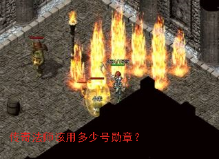 ���淨ʦ���ö��ٺ�ѫ�£�