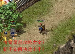 ��������Դ�ȫ��������ο������֣�