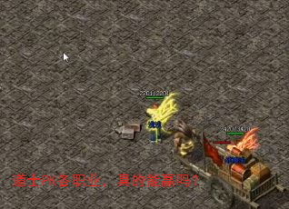 ��ʿPK��ְҵ�������Ӯ��