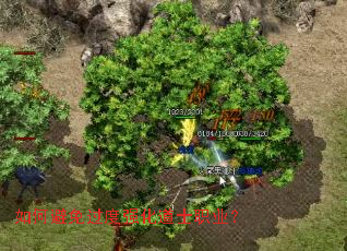 ��α������ǿ����ʿְҵ��