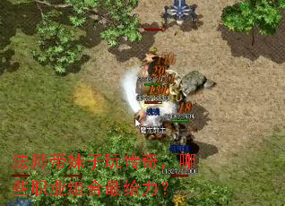 ��ʦ�������洫�棬��Щְҵ����������