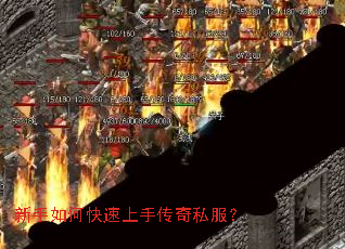 ������ο������ִ���˽����