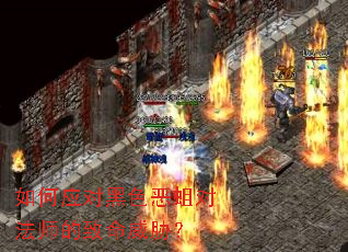 ���Ӧ�Ժ�ɫ�����Է�ʦ��������в��