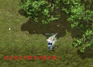 ���ǰ�������е�ͨ������