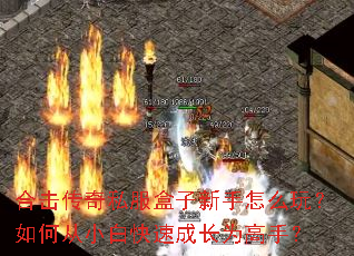 �ϻ�����˽������������ô�棿��δ�С�׿��ٳɳ�Ϊ���֣�