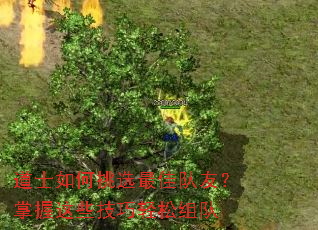 ��ʿ�����ѡ��Ѷ��ѣ�������Щ�����������