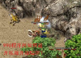 996程序员如何避开私服开服陷阱? 996程序员如何避开私服开服陷阱?