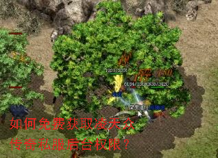 �����ѻ�ȡ�����ڴ���˽����̨Ȩ�ޣ�