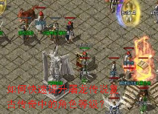 ��ο�������������˵���Ŵ����еĽ�ɫ�ȼ���