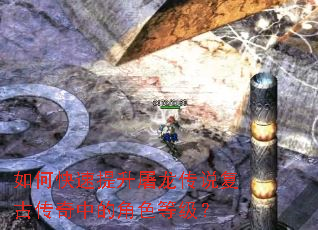 ��ο�������������˵���Ŵ����еĽ�ɫ�ȼ���