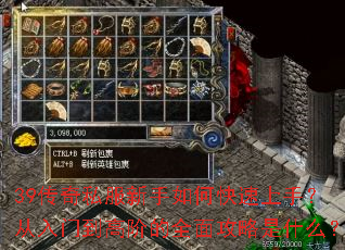 39����˽��������ο������֣������ŵ��߽׵�ȫ�湥����ʲô��