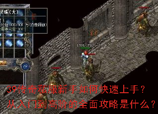 39����˽��������ο������֣������ŵ��߽׵�ȫ�湥����ʲô��