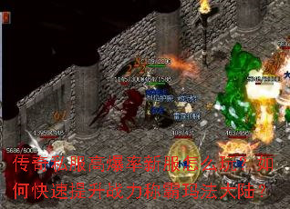 传奇私服高爆率新服怎么玩?如何快速提升战力称霸玛法大陆? 传奇私服高爆率新服怎么玩?如何快速提升战力称霸玛法大陆?