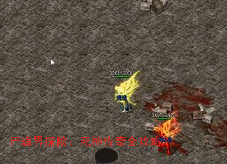 ʬ���̽�գ�������ȫ���ԣ�