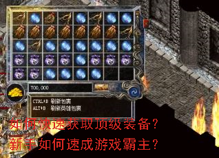 如何快速获取顶级装备?新手如何速成游戏霸主? 如何快速获取顶级装备?新手如何速成游戏霸主?