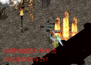 ��ο����������淨ʦ��ҵ�ս������