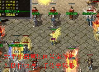 新手小白常见问号全解析?助你快速上手传奇私服 新手小白常见问号全解析?助你快速上手传奇私服