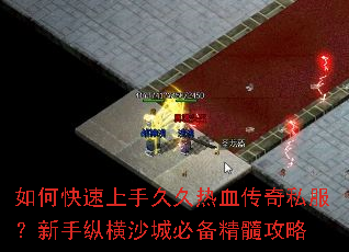 ��ο������־þ���Ѫ����˽���������ݺ�ɳ�Ǳر����蹥��