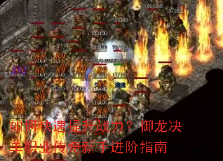 ��ο�������ս������������ְҵ�������ֽ���ָ��