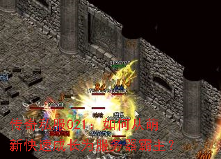 ����˽��021����δ����¿��ٳɳ�Ϊ������������