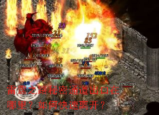 ����֮·����ͨ�������������ο����뿪��