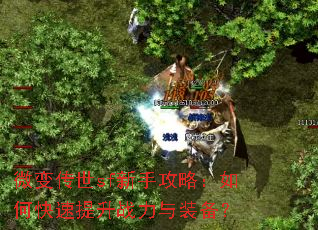 ΢�䴫��sf���ֹ��ԣ���ο�������ս����װ����