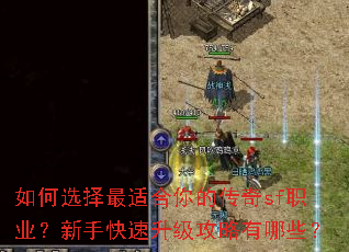 如何选择最适合你的传奇sf职业?新手快速升级攻略有哪些? 如何选择最适合你的传奇sf职业?新手快速升级攻略有哪些?