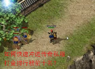 如何快速冲进传奇私服打金排行榜前十名? 如何快速冲进传奇私服打金排行榜前十名?