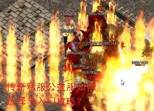 传奇私服公益服如何选择与入门攻略? 传奇私服公益服如何选择与入门攻略?