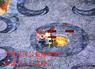 传奇私服公益服如何选择与入门攻略? 传奇私服公益服如何选择与入门攻略?