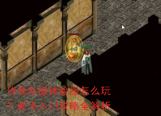 ����˽���������ô�棿�������Ź���ȫ����