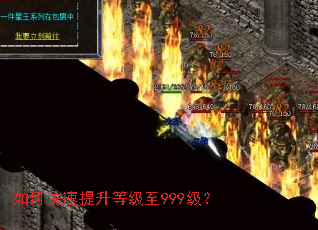 如何快速提升等级至999级? 如何快速提升等级至999级?