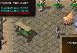 单职业打金传奇道士打长老阵可以用骷髅