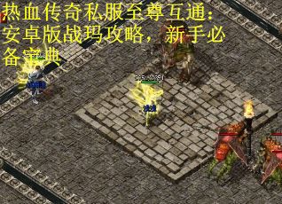 热血传奇私服至尊互通：安卓版战玛攻略，新手必备宝典