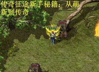 传奇征途新手秘籍：从萌新到传奇