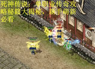 死神传说：单职业传奇攻略秘籍大揭秘，新手萌新必看
