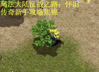 玛法大陆征战之路：怀旧传奇新手攻略集锦