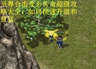 至尊合击变态传奇超级攻略大全：如何快速升级和致富