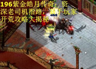 196紫金皓月传奇：资深老司机指路，新手玩家开荒攻略大揭秘