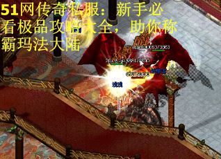 51网传奇私服：新手必看极品攻略大全，助你称霸玛法大陆