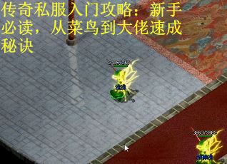 传奇私服入门攻略：新手必读，从菜鸟到大佬速成秘诀