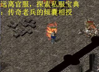 远离官服，探索私服宝典：传奇老兵的倾囊相授