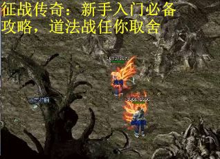征战传奇：新手入门必备攻略，道法战任你取舍