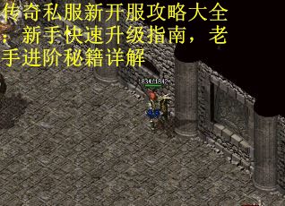 传奇私服新开服攻略大全：新手快速升级指南，老手进阶秘籍详解