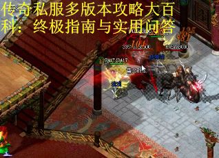 传奇私服多版本攻略大百科：终极指南与实用问答
